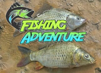 Análisis de Fishing Adventure, como pez en el agua Fishing Adventure